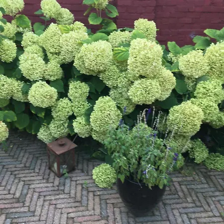 Bed & Breakfast Chez Helene Tweepersoonskamer Maastricht