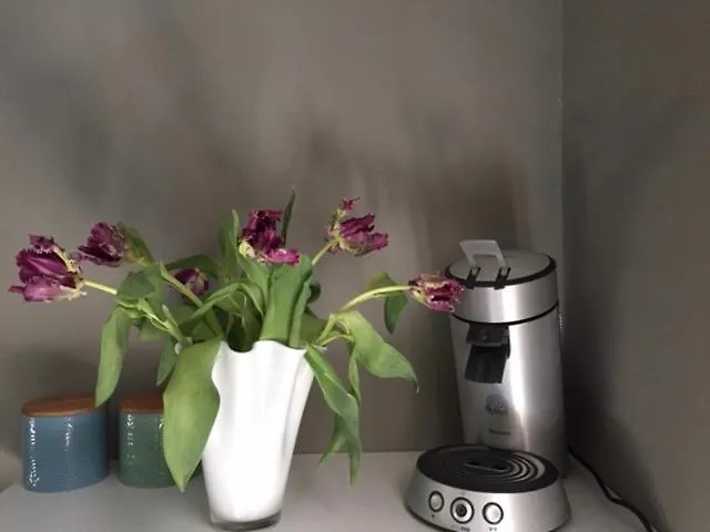 Chez Helene Tweepersoonskamer * Маастрихт