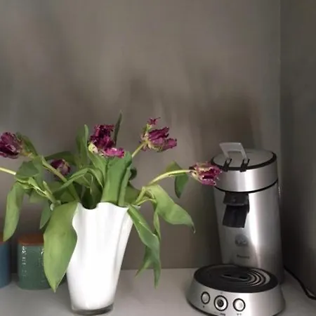 Chez Helene Tweepersoonskamer * 마스트리흐트