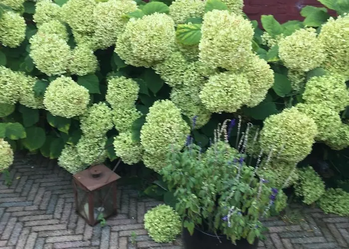 Bed & Breakfast Chez Helene Tweepersoonskamer Maastricht